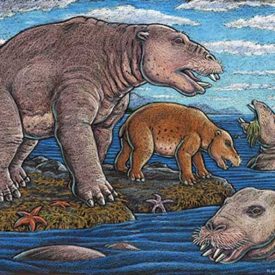 A Desmostylus, illustrated by Ketchikan artist Ray Troll. (Used with permission from the artist)