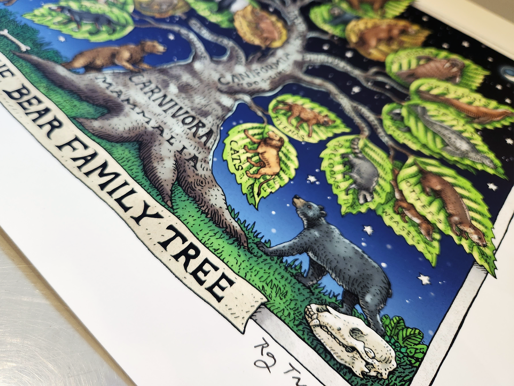 BEAR FAMILY TREE FINE ART POSTER - Image 2