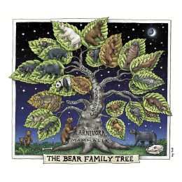 BEAR FAMILY TREE FINE ART POSTER