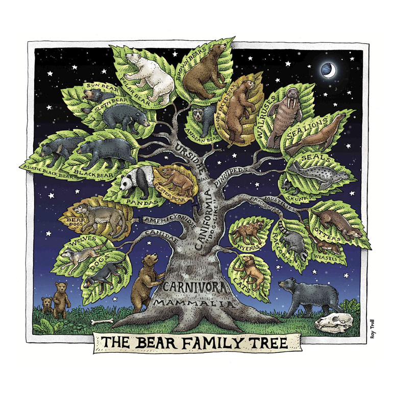 BEAR FAMILY TREE FINE ART POSTER