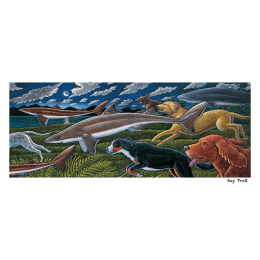 D IS FOR DOGFISH FINE ART POSTER