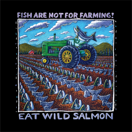 EAT WILD SALMON T-SHIRT