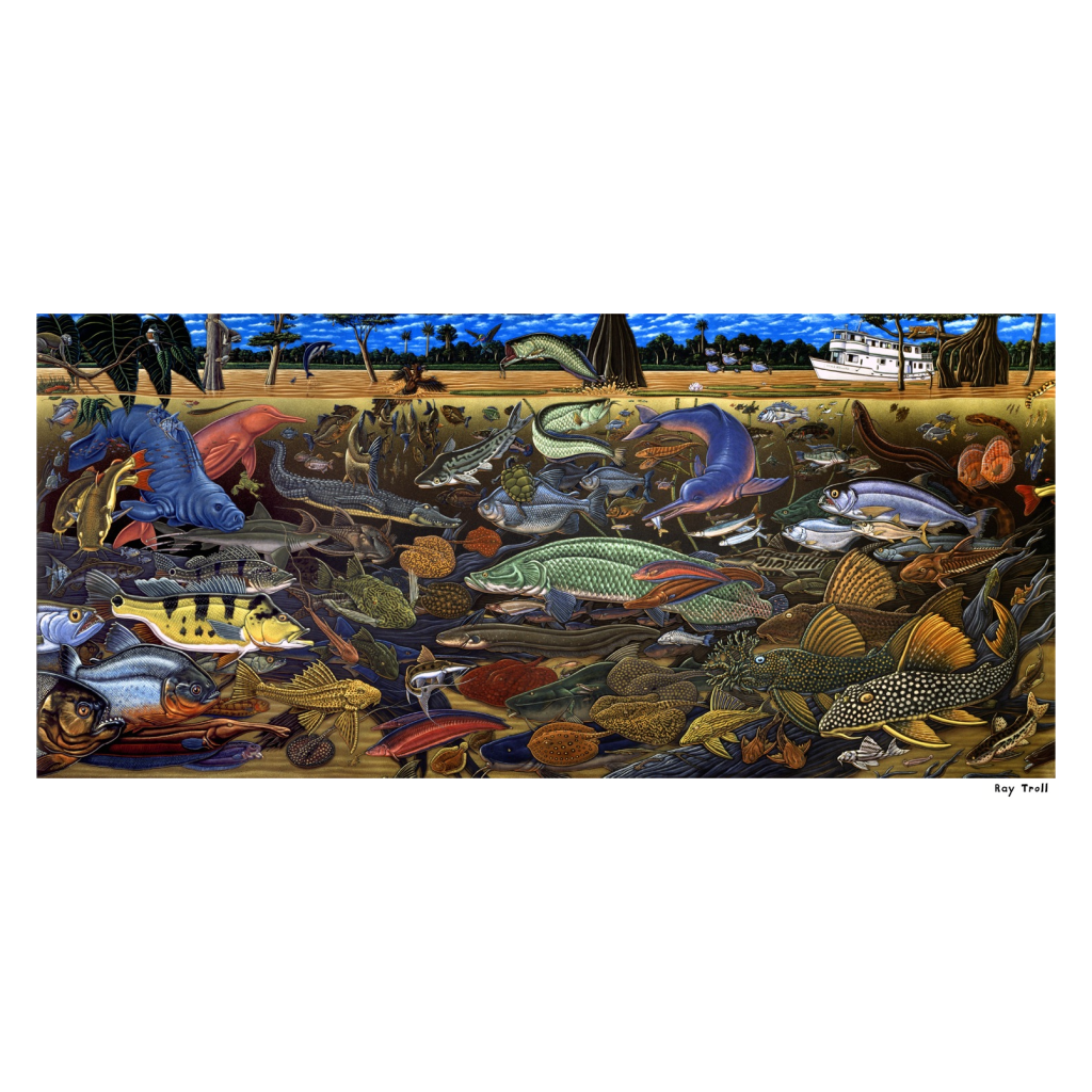 FISHES OF AMAZONIA FINE ART POSTER - Troll Art