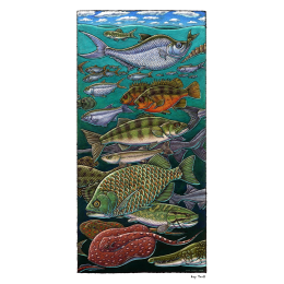 FISHES OF THE GREEN RIVER FORMATION FINE ART POSTER