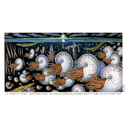 NIGHT OF THE AMMONITES FINE ART POSTER