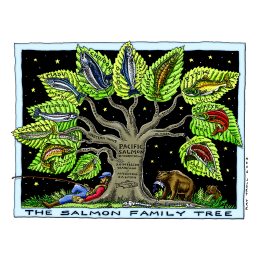 SALMON FAMILY TREE FINE ART POSTER
