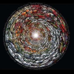 ETERNAL SALMON T-SHIRT