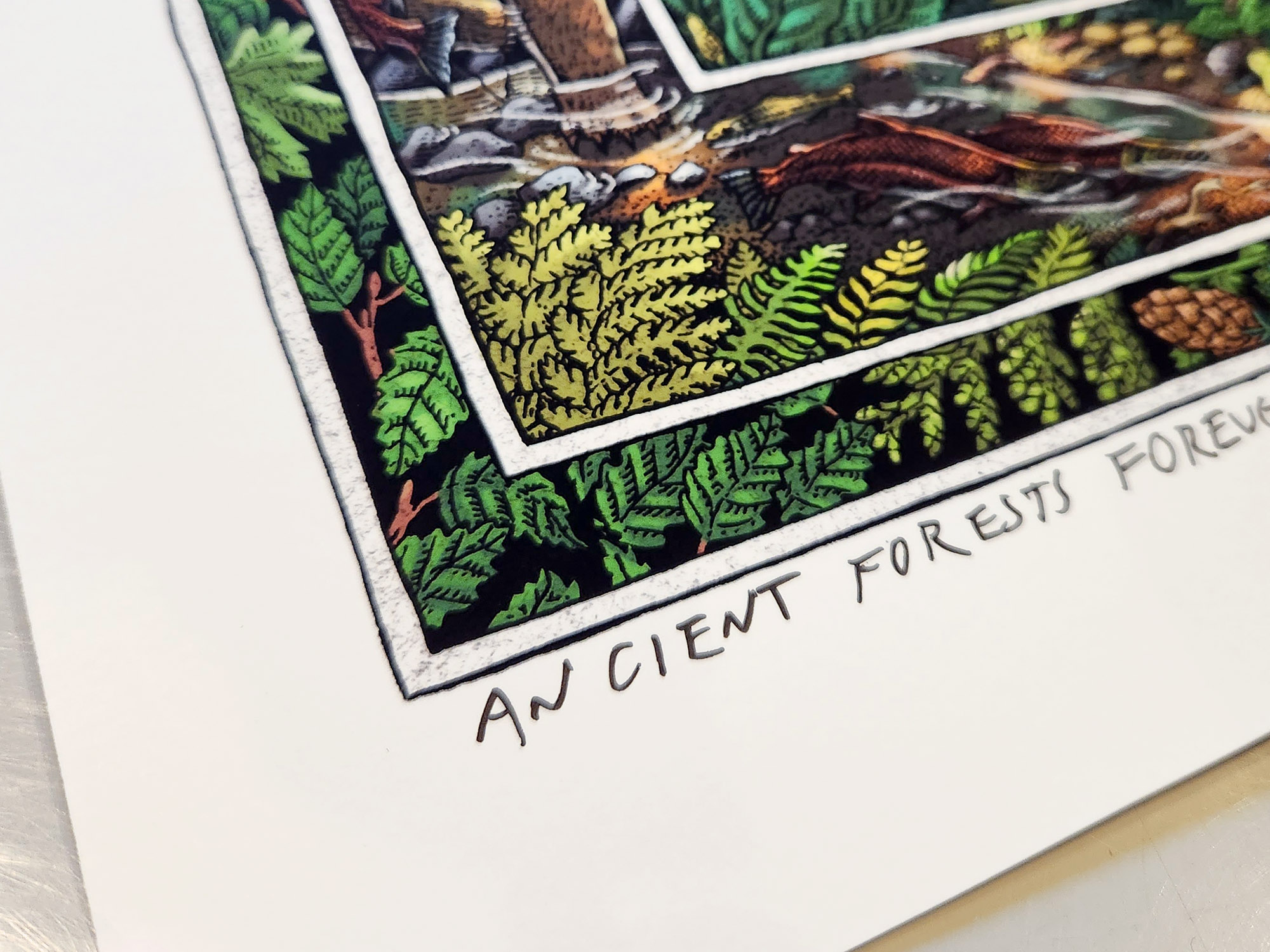 ANCIENT FORESTS FINE ART POSTER - Image 2