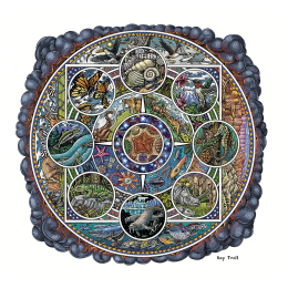 BETWEEN THE TIDE POOL AND THE STARS FINE ART POSTER