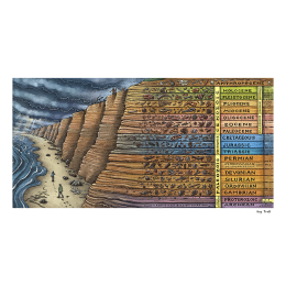 FOSSIL COASTLINE STRAT COLUMN FINE ART POSTER