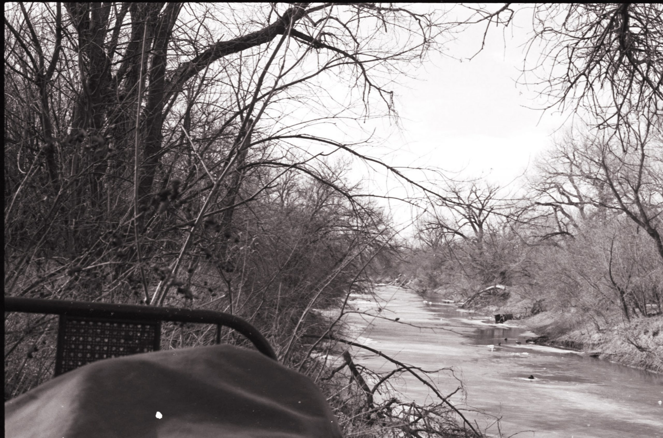 A Bed in the Woods 1, 1976