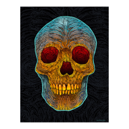 SALMON SKULL FINE ART POSTER