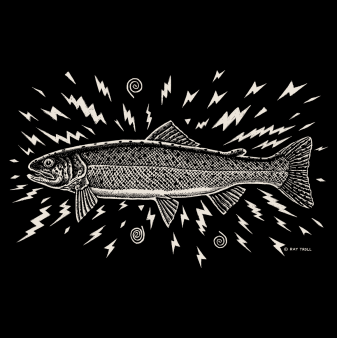 Electric Fish

 	Design does not have any text
 	100 percent cotton, pre-shrunk, heavyweight t-shirt
 	Front print
 	Shirt Color: Black

&nbsp;