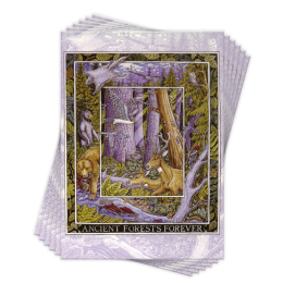 ANCIENT FORESTS FOREVER - 6 CARDS