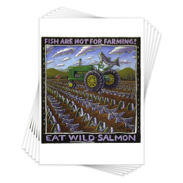 EAT WILD SALMON - 6 CARDS