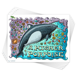 HIGHER PORPOISE - 6 CARDS
