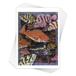 ROCKFISH - 6 CARDS