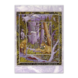 ANCIENT FORESTS FOREVER CARD