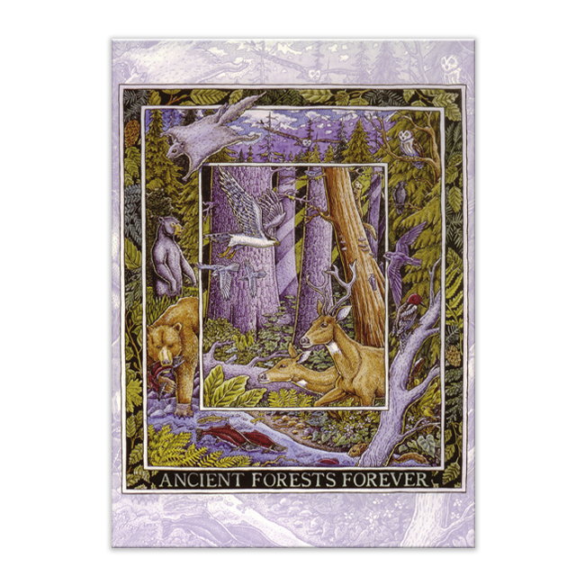 ANCIENT FORESTS FOREVER CARD