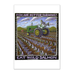 EAT WILD SALMON CARD