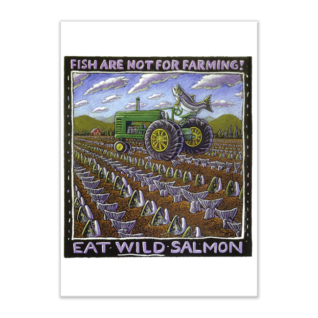 EAT WILD SALMON CARD
