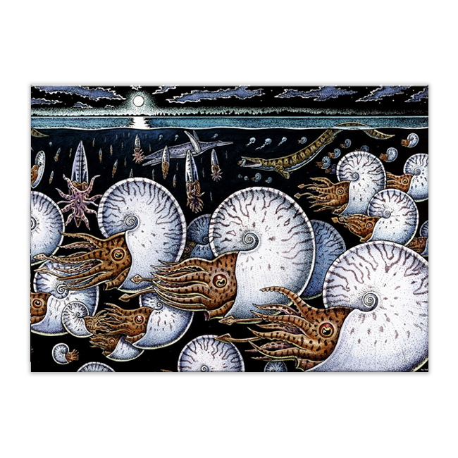 NIGHT OF THE AMMONITES CARD