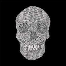SALMON SKULL VINTAGE T-SHIRT