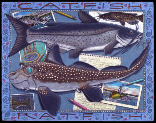 Catfish, Ratfish 
