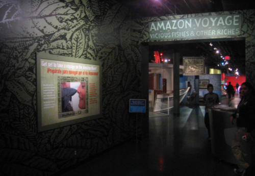 The entrance to the exhibit in Miami