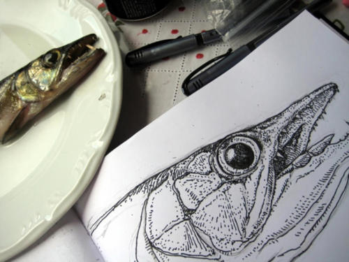 My sketchbook with Wolfish