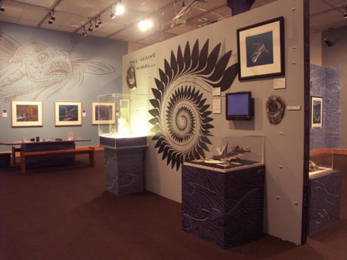 Sharkabet at the Alaska State Museum, Juneau