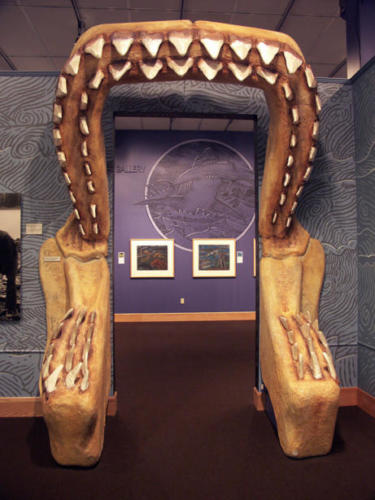 KONICA MINOLTA DIGITAL CAMERA