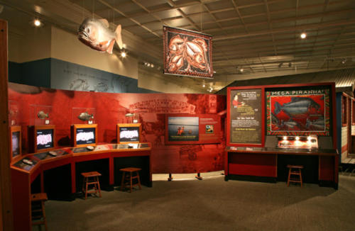 Interactive area