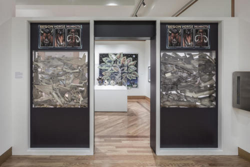 Pleistocene Bone Windows I and II