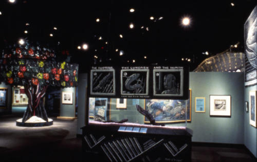 The lungfish tank at the Cal Acdemy showing our a-fin-nity to our fishy friends 