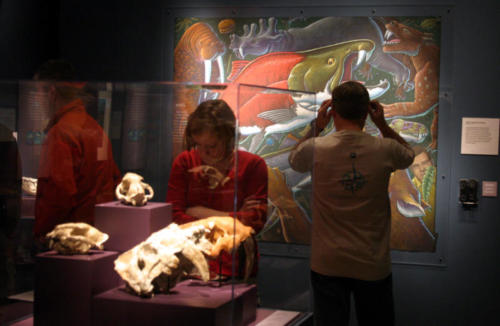 Visitors enjoying the show