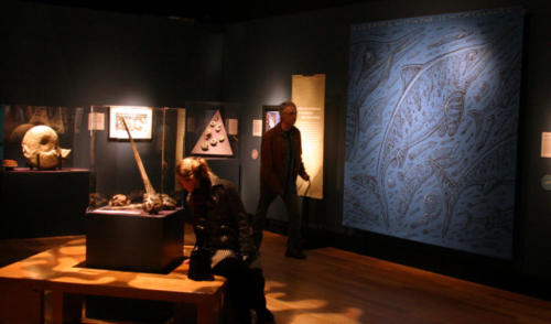 Cool fossils, cool lights