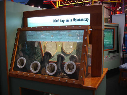 Muck-fish interactive designed by Sean Duran