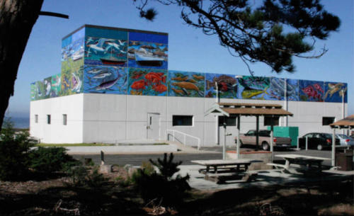 Blue Seas, Green Seas Pacific Grove, California NOAA lab