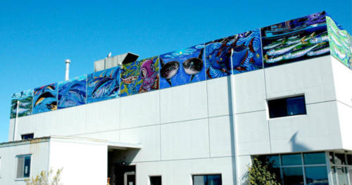 Blue Seas, Green Seas Pacific Grove, California NOAA lab