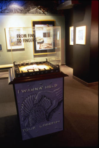 Lobe finned fsih fossils 