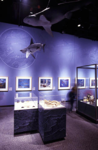 Science Museum of Minnesota , 2001