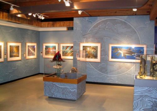 Sharkabet at the Alaska State Museum