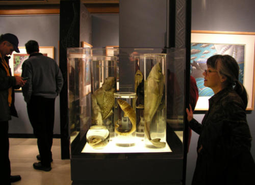 Some lovely pickled specimens of ratfish and dogfish