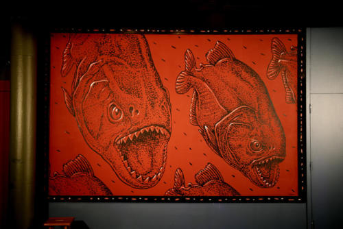 Piranha projection painting, Miami Science Museum