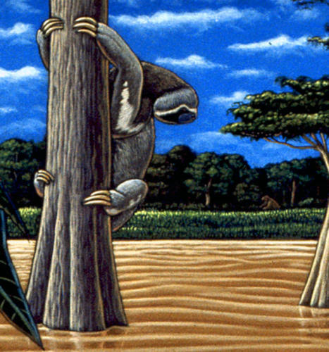 detail from Fishes of Amazonia mural