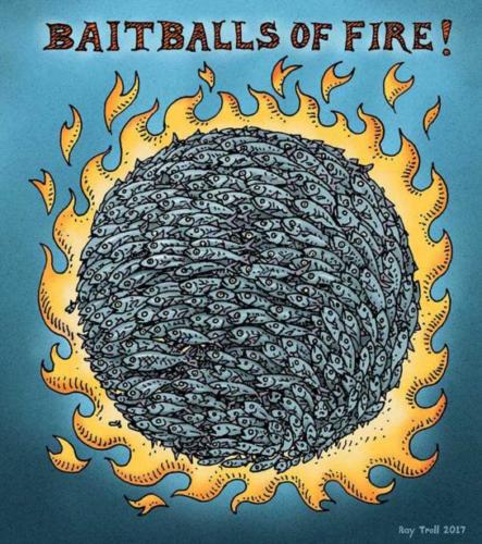 Bait Balls of Fire copy 2