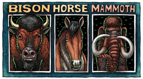 Bison,Horse, Mammoth 1
