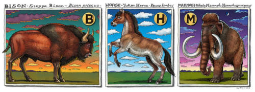 Bison, Horse, Mammoth 2