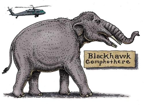 Blackhawk Gomphothere